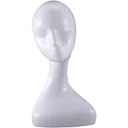 Artistic display form shaped like a head